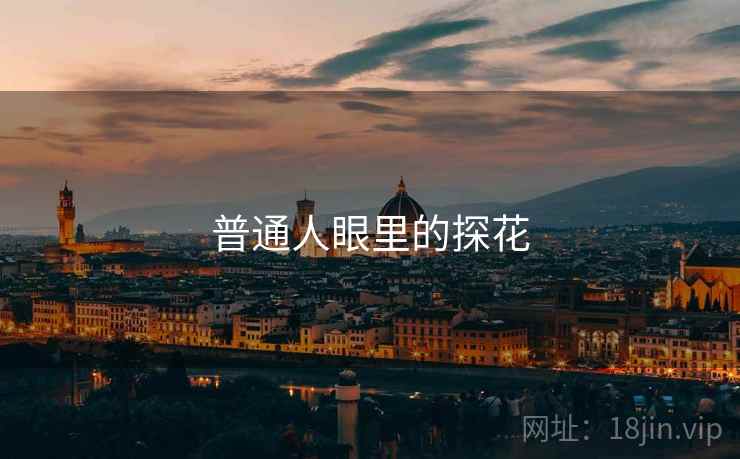 普通人眼里的探花 普通人眼里的探花