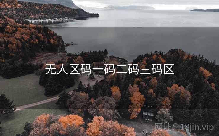 无人区码一码二码三码区