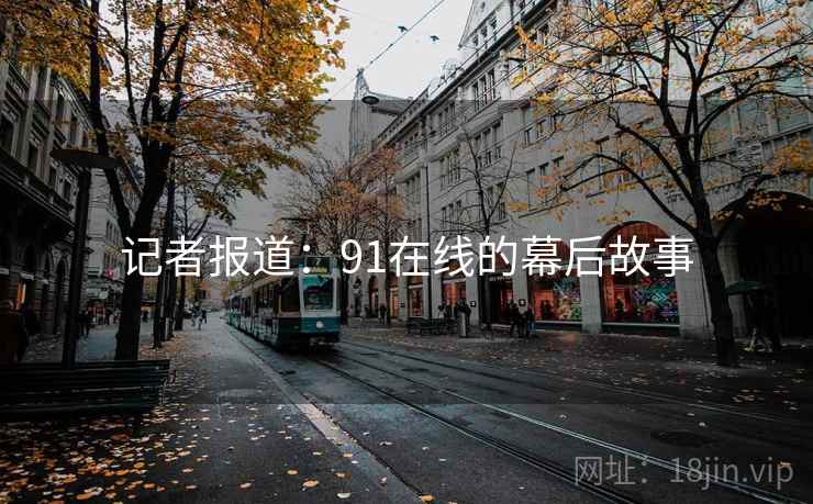 记者报道：91在线的幕后故事