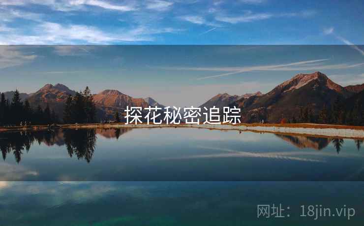 探花秘密追踪