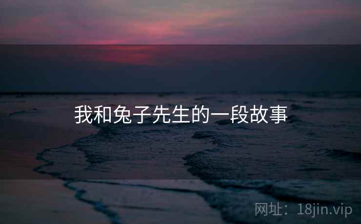 我和兔子先生的一段故事